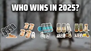 The Top 5 Best Dog Boots in 2025 - Must Watch Before Buying!