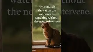 Awareness is the cat on the windowsill 🐾 #mindfulness #awareness #meditation #cats #shorts