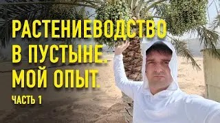 Растениеводство в пустыне. Часть 1. Огород в пустыне. Сезон 22-23. Абу-Даби. Дубай. ОАЭ.