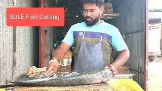 Big Sole Fish  Cutting Boneless  Video By Mh Fish Cutting Skills