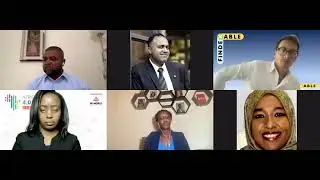 Africa Banking summit 4 0 Fintech Panel