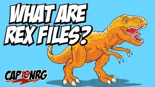 What are REASON REX Files
