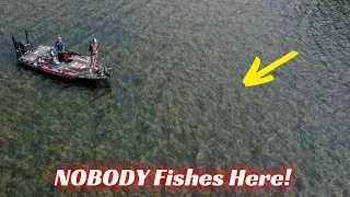 3 Simple Tips To Dominate Grass Fishing!