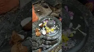 bhavani darshanam 100 mandi tho journey 3days