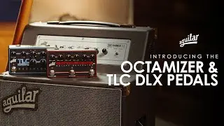 Introducing the Octamizer DLX and TLC Compressor EQ DLX Pedals