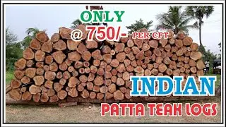 indian patta teak timber  logs at very best price Rs. 750/- per cft  # indian teak timber logs