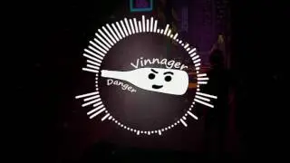 Vinnager - Danger