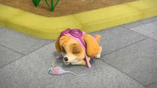 Paw Patrol Pups Sleeping