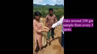 Soil sample collection procedure