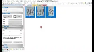 Microscope camera software introduction: Still Image Stitching