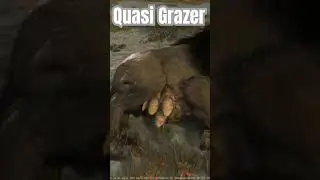 Quasi Grazer | Star Citizen #starcitizen #quasi #sim #pc #trending #space #scifi #game