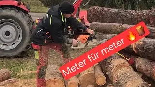 Großer Polter, viel Arbeit: Lärche aufarbeiten für den Winter 🪵 🌳Wood Action 😄