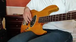 Mensfeld Jazz Bass PJ Banjo cat