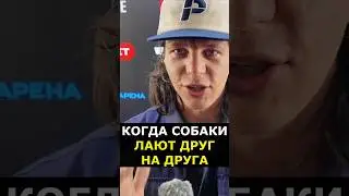 Регбист о разрешении конфликта ШЛЕМЕНКО vs СУЛЬЯНОВ #shorts