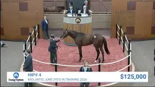 Vekoma colt sells for $150,000 at Midlantic June Two-Year-Olds in Training (2024)