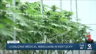 Kentucky governor to make 'announcement' regarding medical cannabis