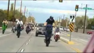 Cycoward Hallowheelie Ride 2010