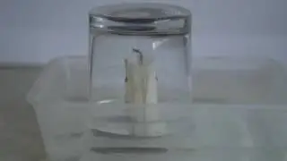 Candle Burning Under A Glass Experiment