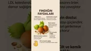 Findik Yemeni faydalri #findik #sağlık #pratiktarifler #sağlıklıyaşam #shorts #keşfet #fyp #hazelnut