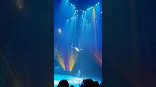 Great Circus! 🎪 The stunts, the energy🔥 #GreatCircus #EpicPerformances #ViralStreetShorts #FunTimes