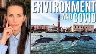 IS COVID REALLY GOOD FOR THE ENVIRONMENT?