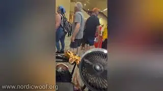 Service Dogs at Phoenix Fan Fusion 