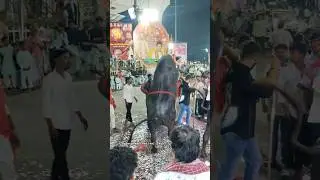 Narayanguda Sadar Festival 2025 Sadar Sammelanam 2025  #sadar #sadarfestival #yadav