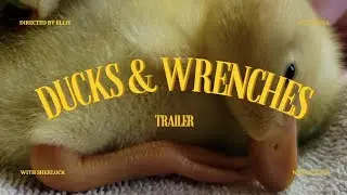 Ducks & Wrenches Trailer