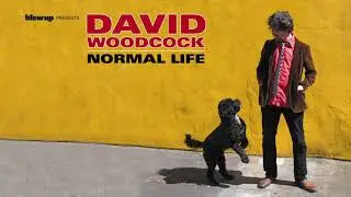 David Woodcock 'If You Ever Get Out Of Your Bedroom' [Official Audio] - from 'Normal Life' (Blow Up)