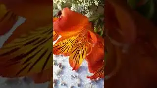 Ambient three. 3D sound. Listen with headphones music.