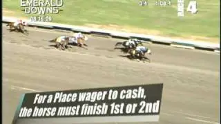 How To Wager: Wagering Basics