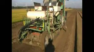 bollenplanten 5