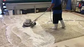👉 What is The Best Type of Rug Cleaning Method in Miami?