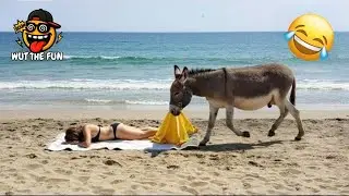 Funny & Hilarious People Life 😆 #27 | TRY NOT TO LAUGH CHALLENGE 😂 | Funny Videos Compilation 2025