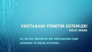 Veritabanı Yönetim Sistemleri: MS SQL Server'da bir veritabanını içeri aktarma ve dışarı aktarma