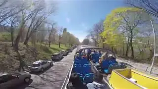 Обзорная экскурсия по Нью-Йорку