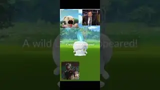 Shiny Litwick - Pokemon Go Community Day! #shorts