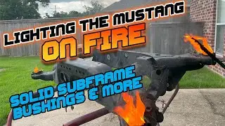 Installing Solid Subframe Bushings & More on the S550 Mustang!