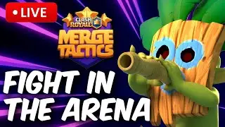 Very short Merge Tactics grind!