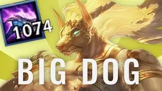 BIG DOG