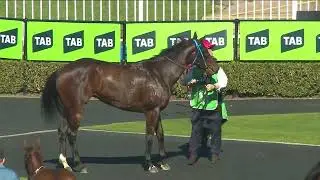LONHRO'S QUEEN WINS AT ROSEHILL | JASON COLLETT AND CAMERON CROCKETT INTERVIEW