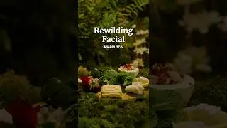 Get Lush Skin with NEW Rewilding Facial