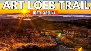 The Art Loeb Trail: A Journey Through Nature's Canvas | US Travel Guide