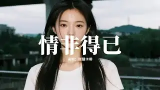 微醺卡帶 - 情非得已 (微醺版)『哦只怕我自己會愛上你，不敢讓自己靠的太近，怕我沒什麼能夠給你，愛你也需要很大的勇氣。』【動態歌詞MV】