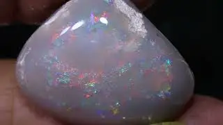 27 cts Clam Shell Opalized Fossil FO-2726