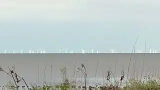 Bay City State Park - Birds. Wind Turbines, Power Plant, Nature 2566 2572 SEPT 06 2025