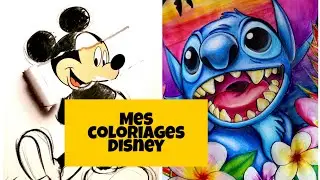 Ma collection de livres  de coloriages pour adultes et mes réalisations Disney  P2