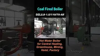 DZL Coal Fired Hot Water Boiler, Moving Chain Grate Boiler #steamboiler #water #heating #boiler