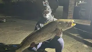 MONSTER RIVER MULLOWAY! (Episode 3)
