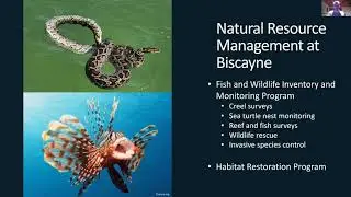 Picking up After 'Irmageddon' @Biscayne National Park | Jordan Holder | Key Biscayne Citizen Science